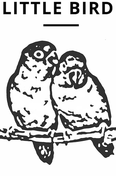 Little Bird Text Logo_800x600(1)